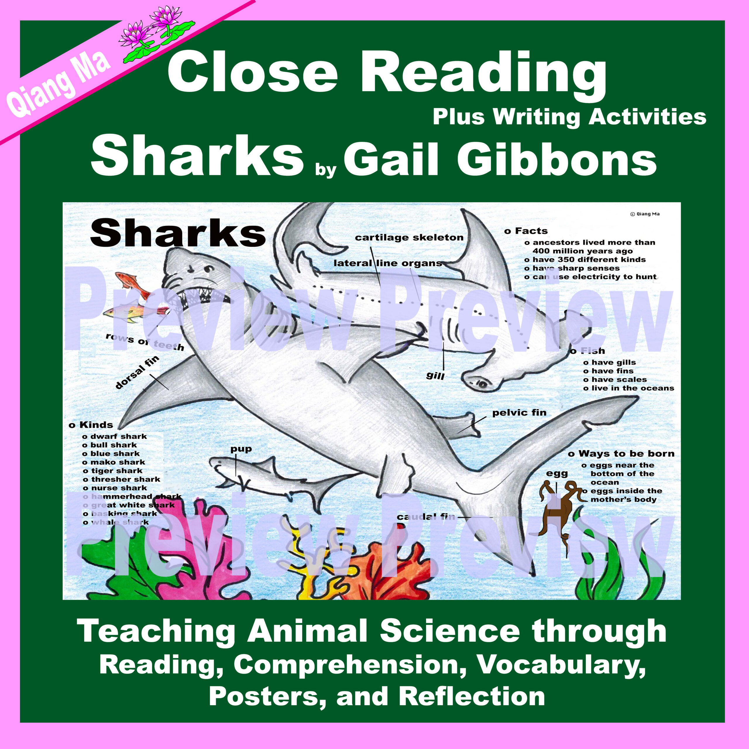 Close Reading: Sharks by Gail Gibbons