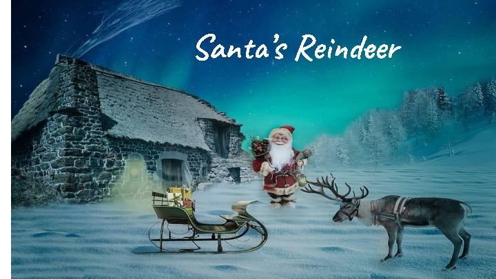 Santa's Reindeer on Christmas CORE WORD-MORE