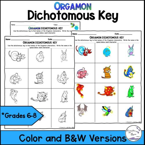 Animal Anime Character Dichotomous Key's featured image