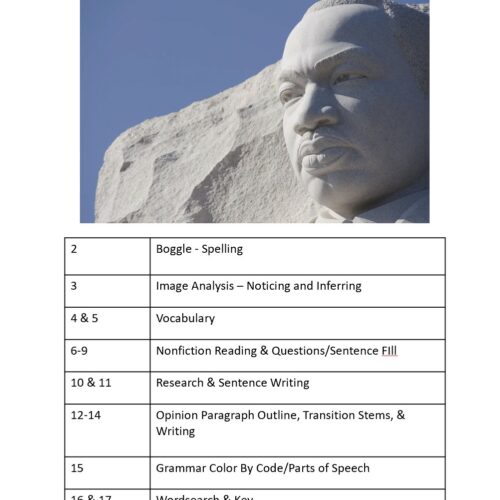 Martin Luther King Jr. Day No Prep Middle & High School ESL Sub Lesson Plan's featured image