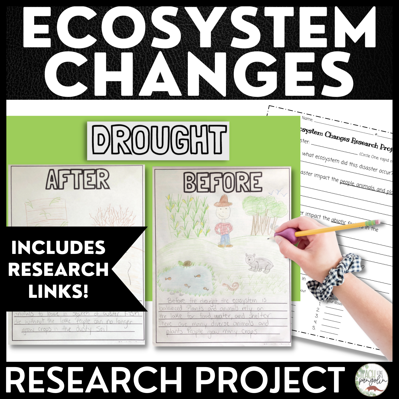 Changes in Ecosystems Research Cross Curricular Project