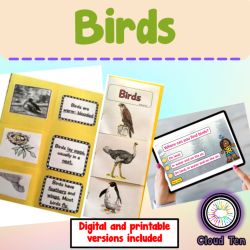 Birds's featured image