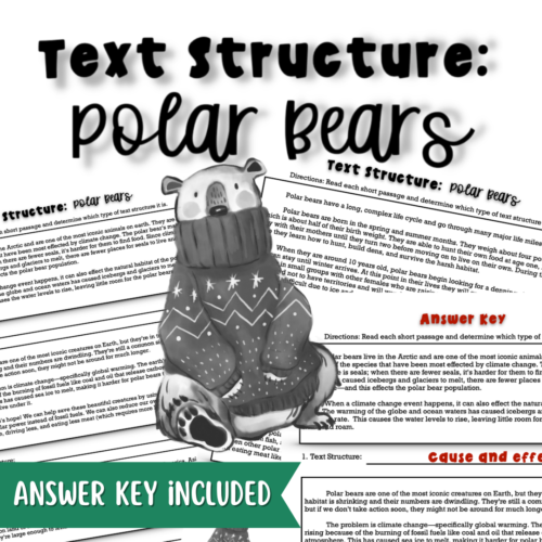Text Structure - Polar Bears's featured image