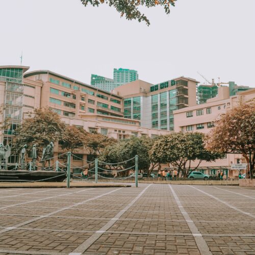 Gallery item number 0