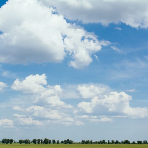 Gallery item number 0