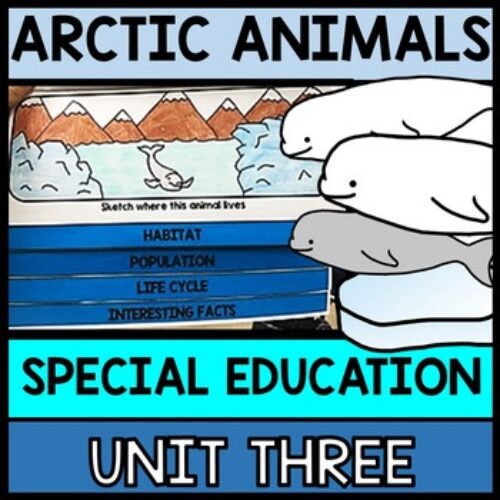 Arctic Animals Research - Interactive Notebook - Special Education - Winter - Unit 3's featured image