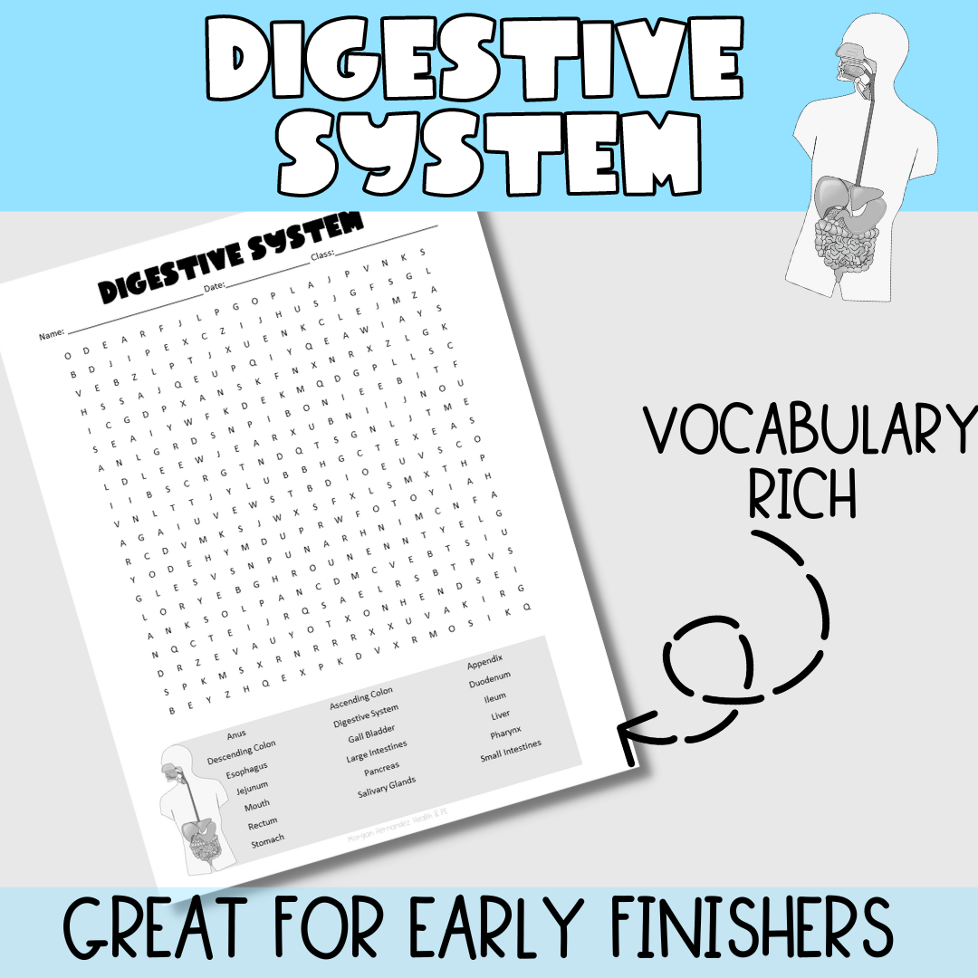 Digestive System Word Search Puzzle - Classful