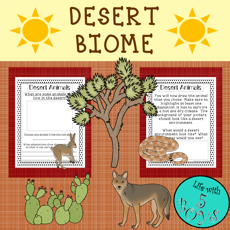 Desert Biome Activity - Classful