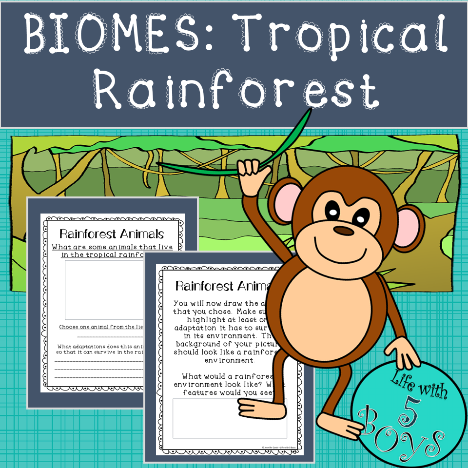 Tropical Rainforest Biome Activity - Classful