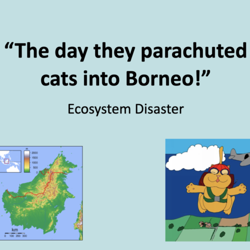 The Day they parachuted cats into Borneo.'s featured image