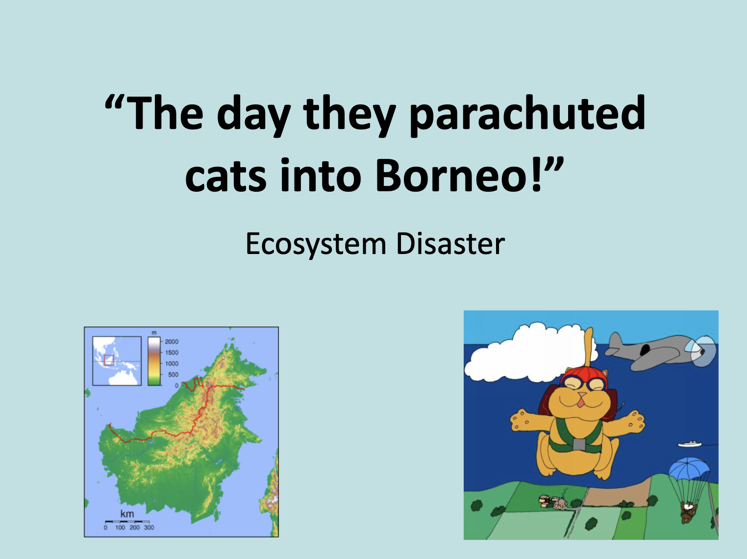 The Day they parachuted cats into Borneo.