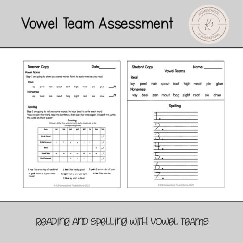 Vowel Team Assessment's featured image