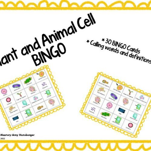 Plant and Animal Cell Bingo's featured image