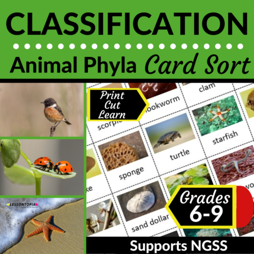 Animal Phyla | Classification | Card Sort's featured image