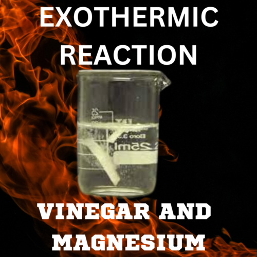 Chemistry Exothermic Reaction Magnesium and Vinegar High School Science's featured image