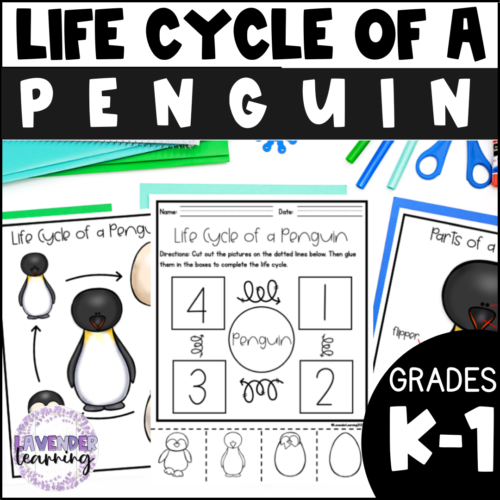 Life Cycle of a Penguin - Penguin Life Cycle's featured image