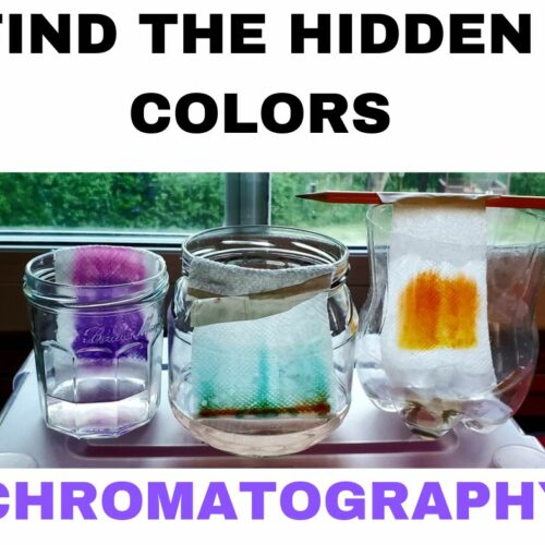 Chemistry Paper Chromatography Lab High School Science's featured image