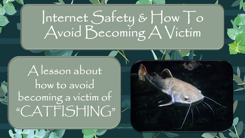 Catfishing Internet & Personal Safety Rules Lesson No Prep Ready