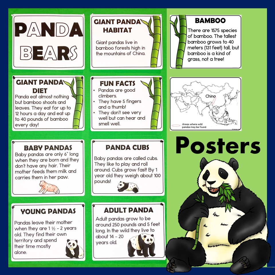  PANDACRAFT - Discovery Book - Activity Book with Games