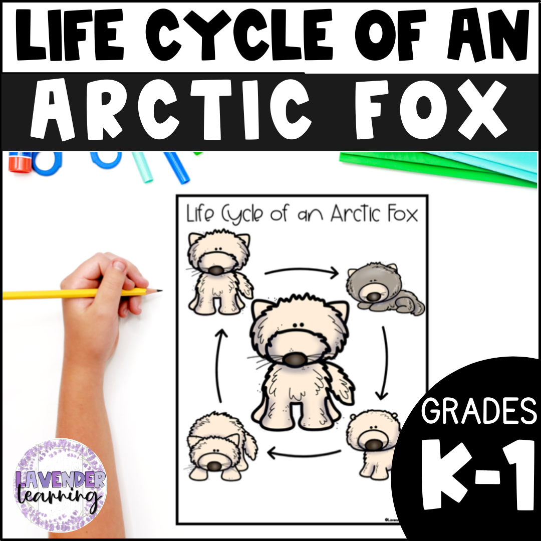 Life Cycle of an Arctic Fox Activities, Worksheets, Book - Arctic Fox