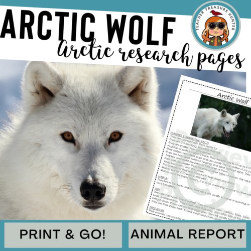 Arctic Wolf Animal Research Pages for research and writing animal reports's featured image