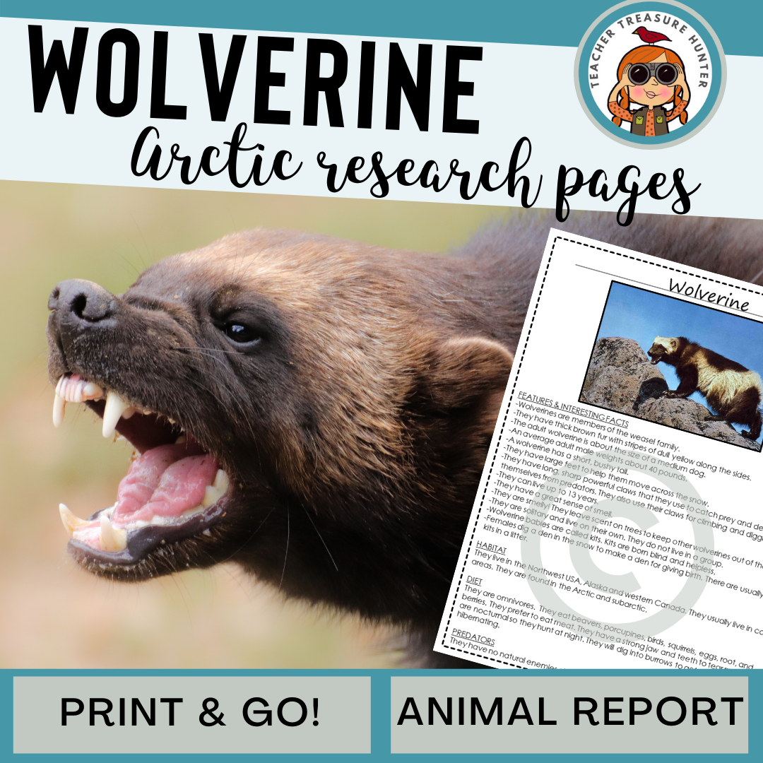 Wolverine Animal Research Pages for research and writing an animal report