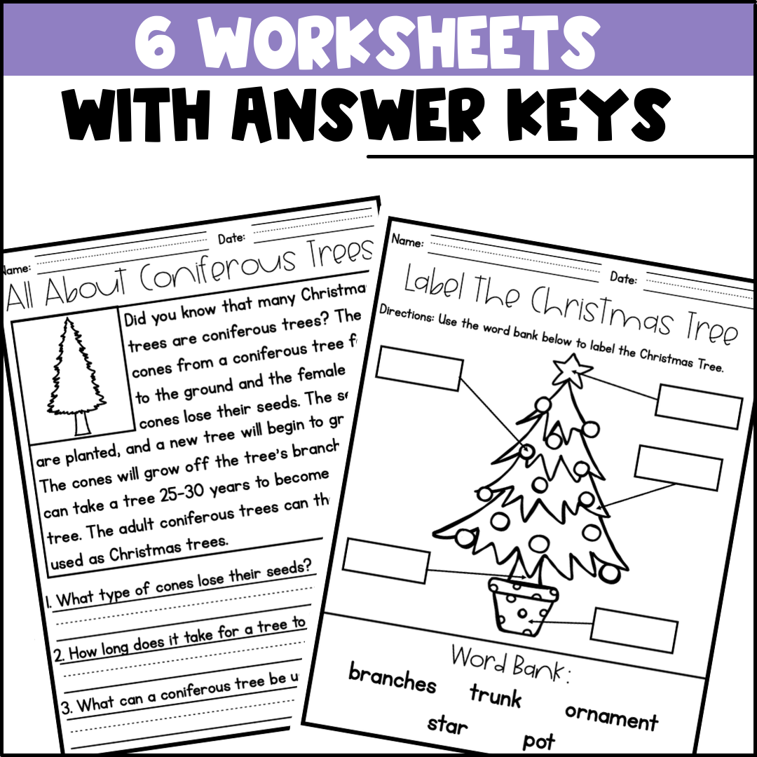 life-cycle-of-a-christmas-tree-activities-worksheets-booklet-coniferous-tree-classful