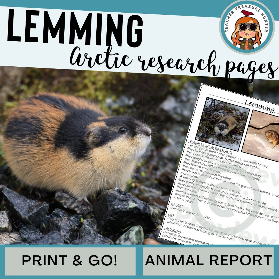 Lemming Animal Research Pages for learning about Arctic animals - Classful