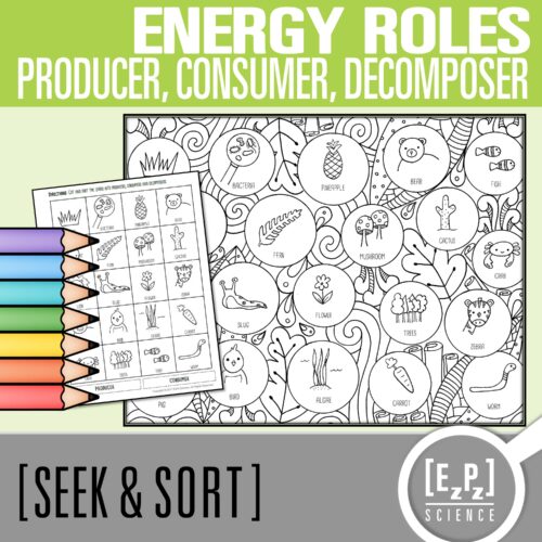 Producer Consumer & Decomposer Card Sort Activity | Seek and Sort Science Doodle's featured image