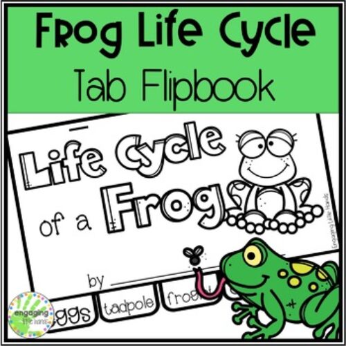 Life Cycle of a Spider Tab Flip book - Classful