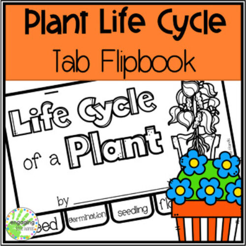 Life Cycle of a Plant Tab Flip book's featured image