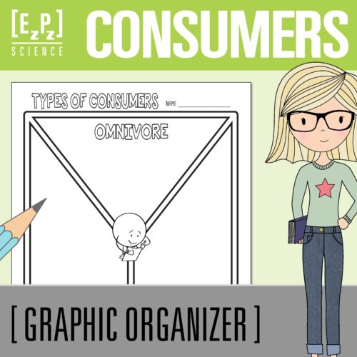 Types of Consumers (Herbivore, Omnivore and Carnivore) Science Graphic Organizer's featured image