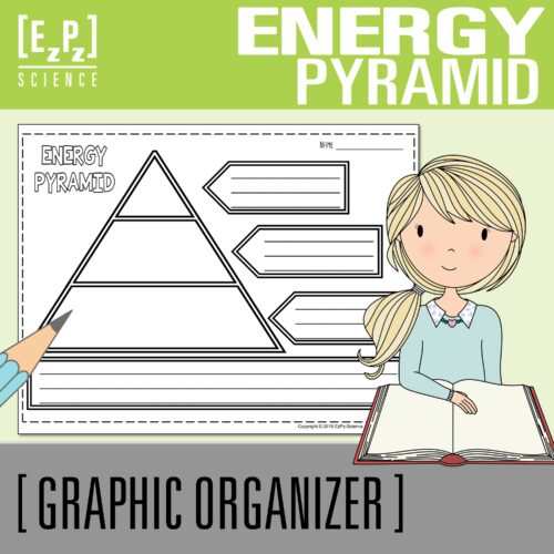 Energy Pyramid Science Graphic Organizer Template's featured image
