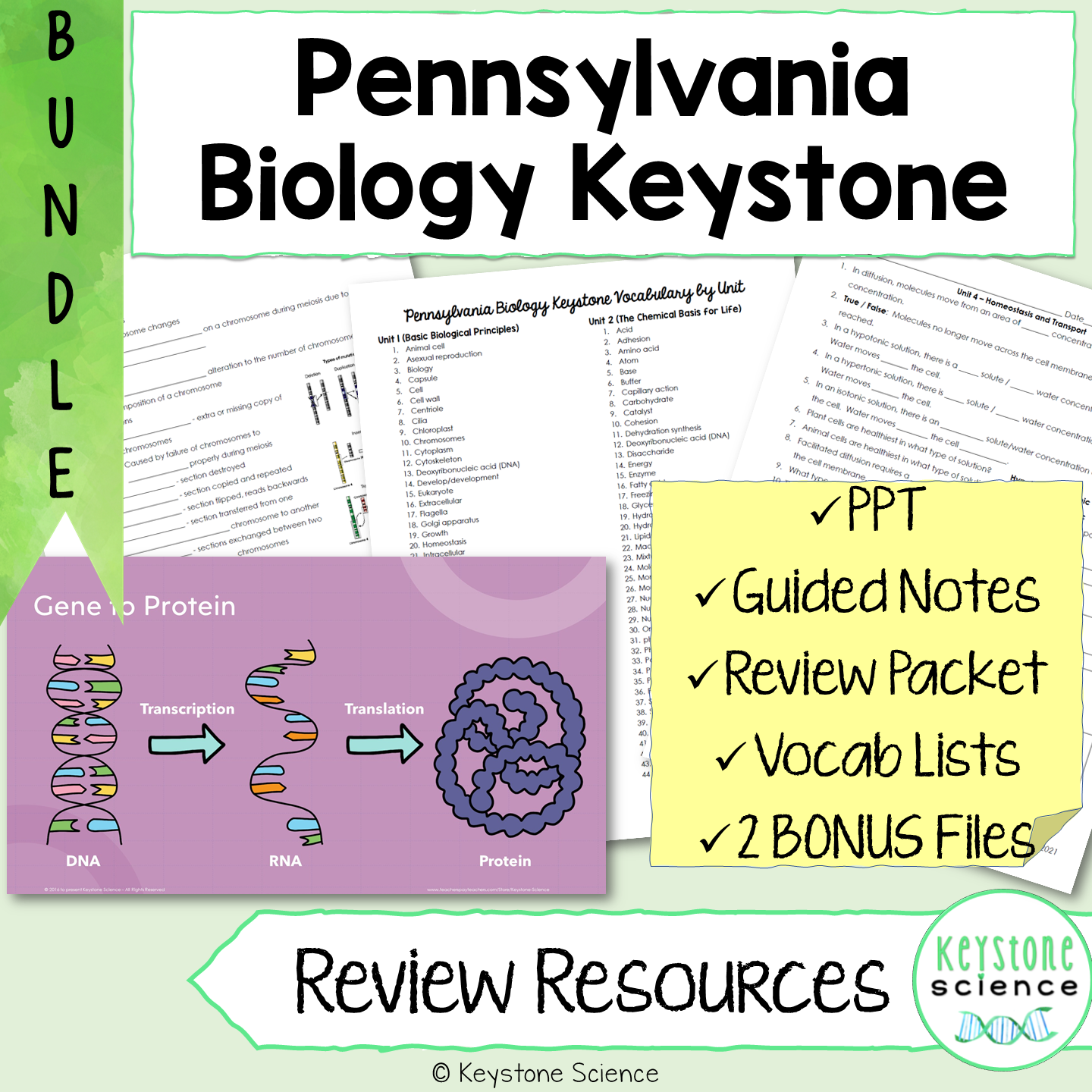 Comprehensive Biology Keystone Review BUNDLE PowerPoints, Guided Notes, Packet