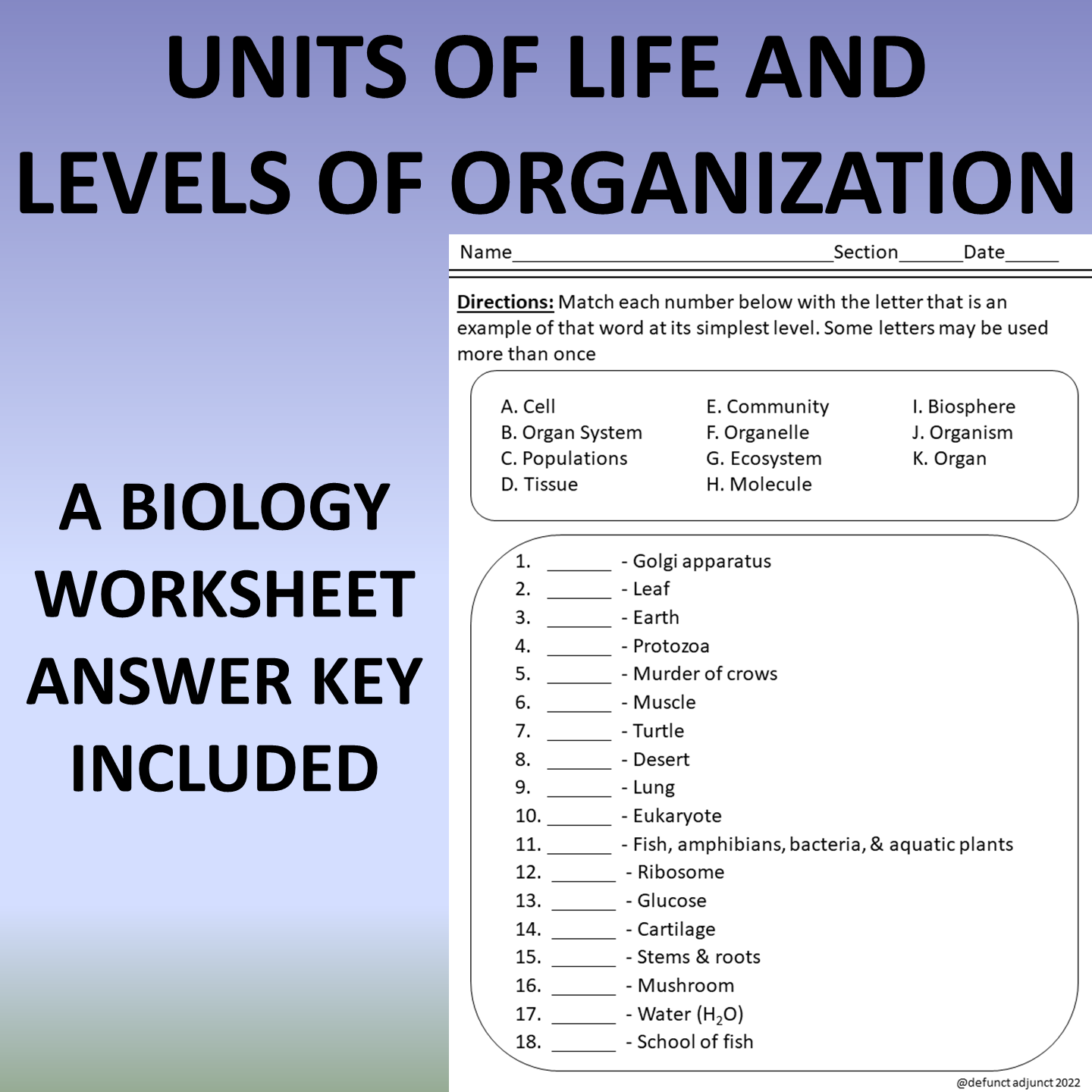 Levels of Organization of Life: A Biology Worksheet