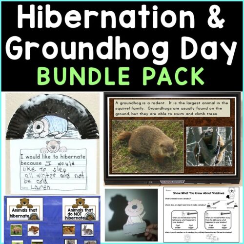 Hibernation Activities plus Groundhog Day & Shadows Activities Bundle's featured image