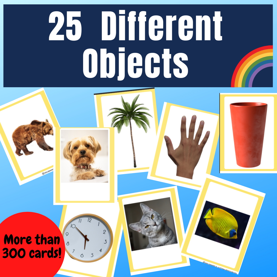 ABLLS-R Aligned B8 Sort Non Identical Items Task (Instant Download) 