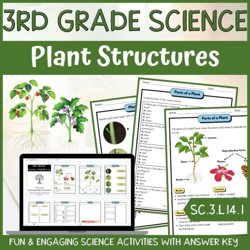 Plant Structures and Functions Activity & Answer Key 3rd Grade Life Science's featured image