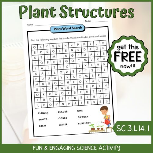 FREE Plant Structures and Functions Word Search Fun Science Activity's featured image