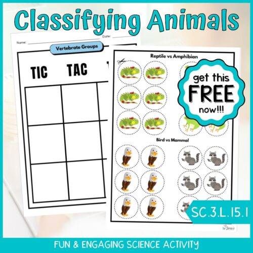 FREE TIC TAC TOE Classifying Animals Fun Science Game's featured image