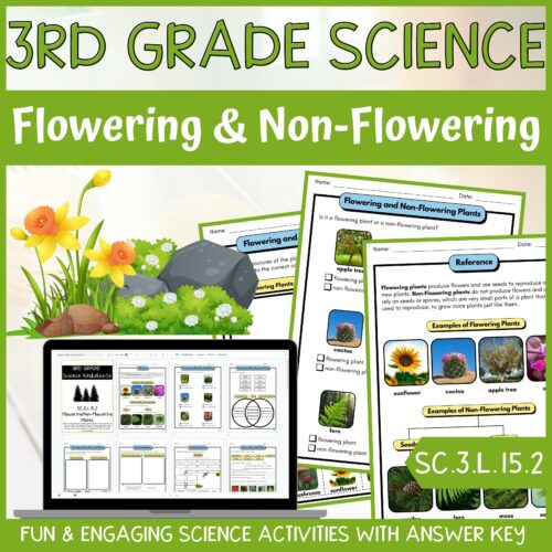 Classifying Plants Activity & Answer Key 3rd Grade Life Science's featured image