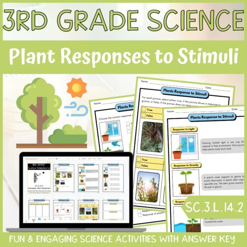 Plant Response to Stimuli Activity & Answer Key 3rd Grade Life Science's featured image
