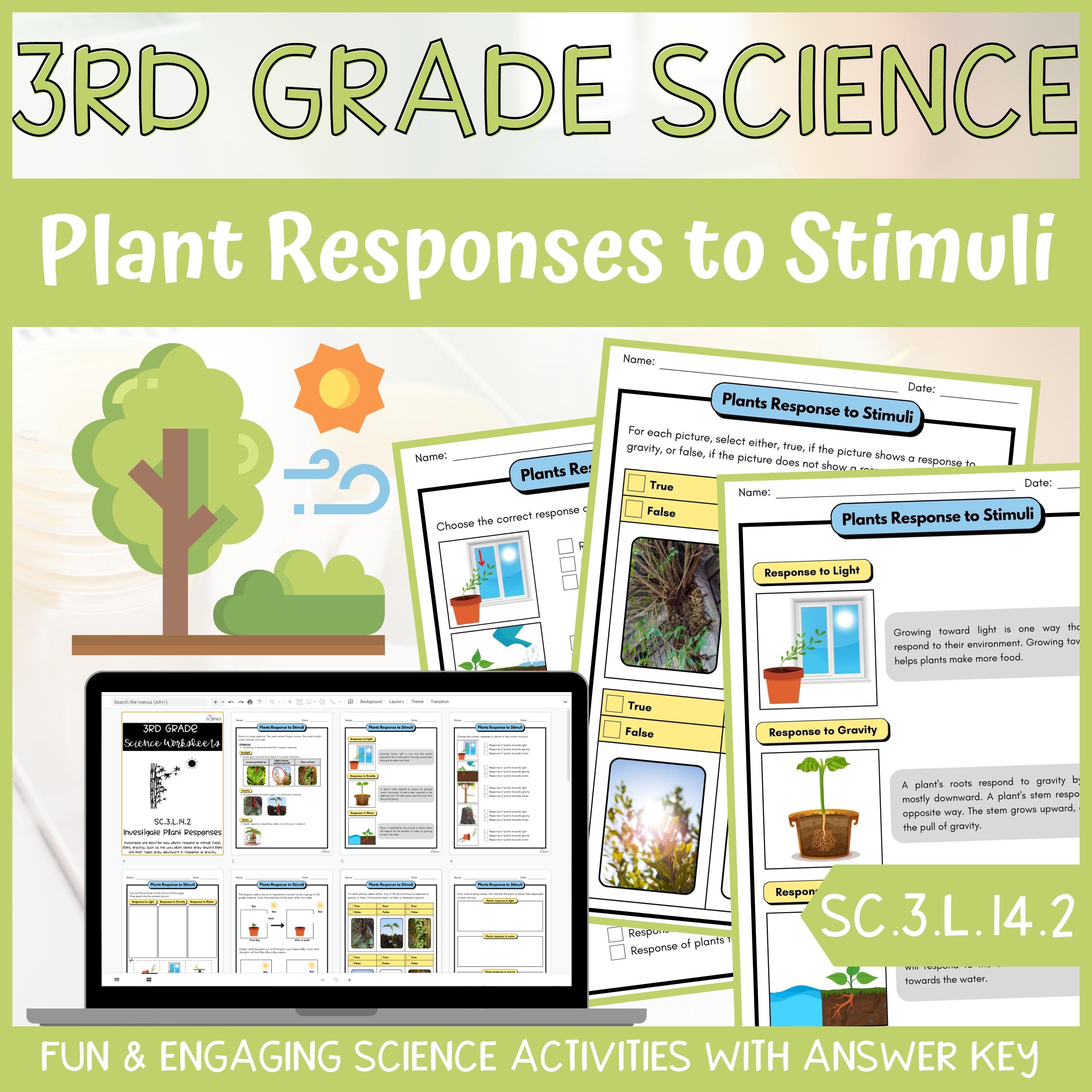 response to stimuli plants