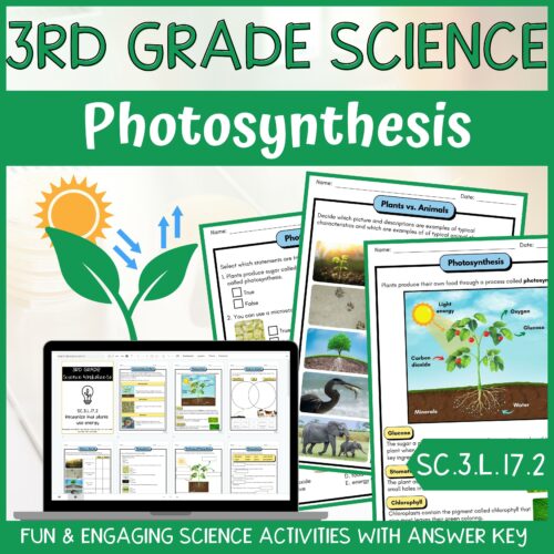 Photosynthesis Activity & Answer Key 3rd Grade Life Science's featured image