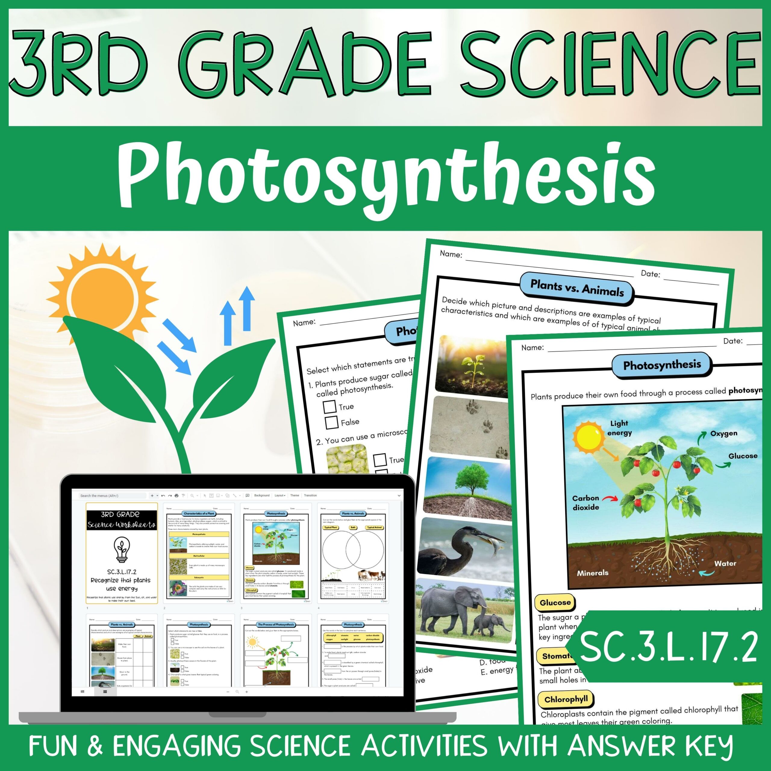 Photosynthesis Activity & Answer Key 3rd Grade Life Science Classful