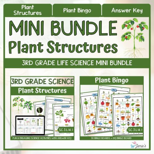 Plant Structures Activities and Vocabulary Game 3rd Grade Life Science BUNDLE's featured image