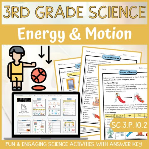 Potential and Kinetic Energy Activity & Answer Key 3rd Grade Physical Science's featured image