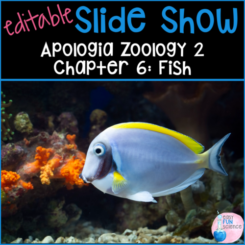 Apologia Zoology 2 Swimming Creatures Chapter 6 Fish EDITABLE's featured image