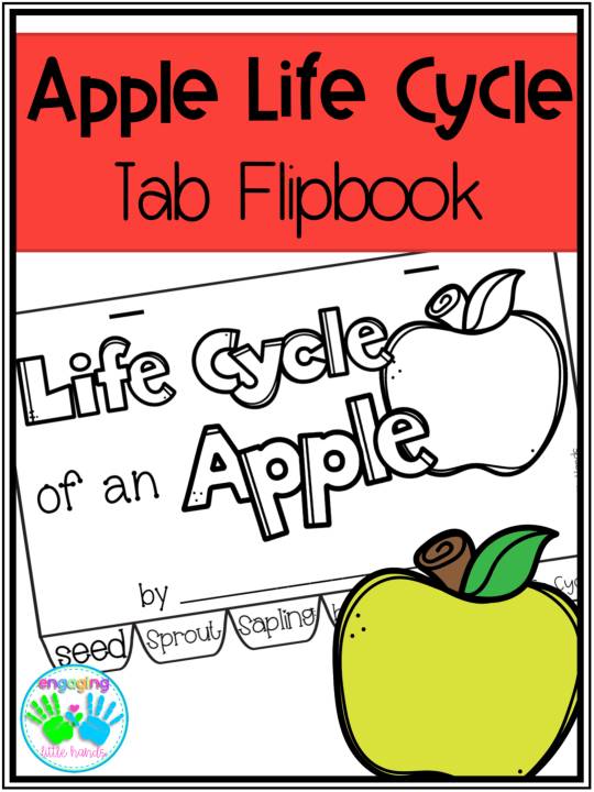 Life Cycle Flip Books - NEW and Improved