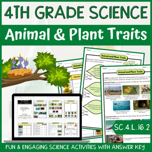 Animal and Plant Traits Activity & Answer Key 4th Grade Life Science's featured image